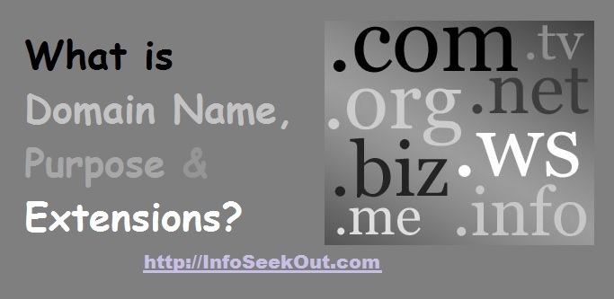 What Is Domain Name, Purpose, and Extensions - Info Seek Out